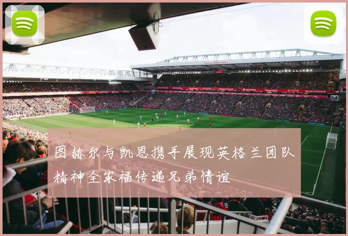 图赫尔与凯恩携手展现英格兰团队精神全家福传递兄弟情谊