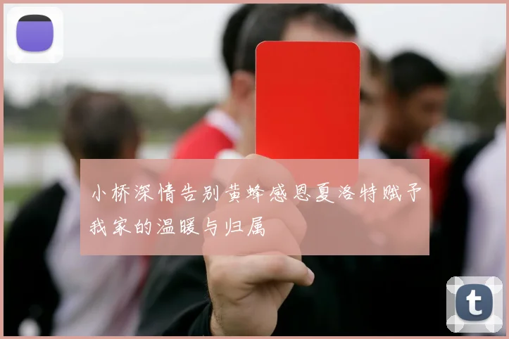 小桥深情告别黄蜂感恩夏洛特赋予我家的温暖与归属
